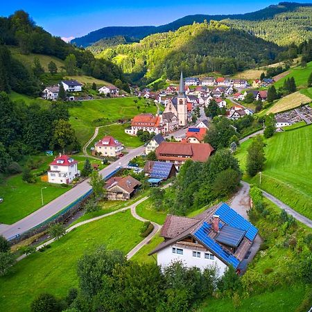 Steepleview House, Schwarzwaldblick Apartment - Spacious & Peaceful Бад Петерстал-Грисбах Екстериор снимка