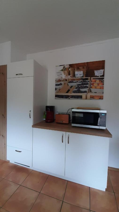 Steepleview House, Schwarzwaldblick Apartment - Spacious & Peaceful Бад Петерстал-Грисбах Екстериор снимка