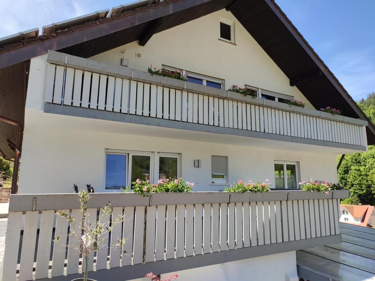 Steepleview House, Schwarzwaldblick Apartment - Spacious & Peaceful Бад Петерстал-Грисбах Екстериор снимка